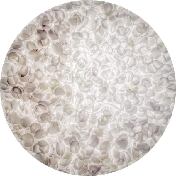 Blossom - Afbeelding 2