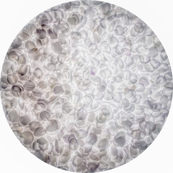 Blossom - Afbeelding 3